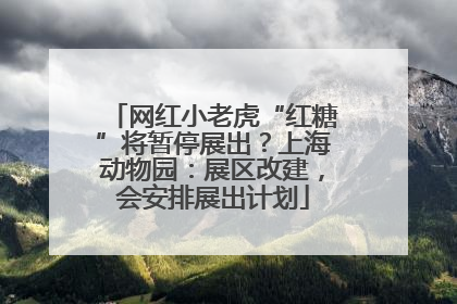 网红小老虎“红糖”将暂停展出？上海动物园：展区改建，会安排展出计划