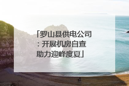 罗山县供电公司：开展机房自查 助力迎峰度夏