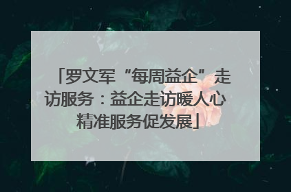 罗文军“每周益企”走访服务：益企走访暖人心 精准服务促发展