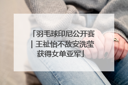 羽毛球印尼公开赛｜王祉怡不敌安洗莹 获得女单亚军