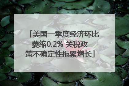美国一季度经济环比萎缩0.2% 关税政策不确定性拖累增长