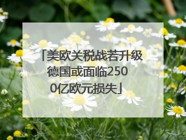 美欧关税战若升级 德国或面临2500亿欧元损失