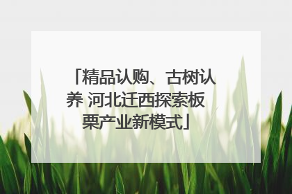 精品认购、古树认养 河北迁西探索板栗产业新模式