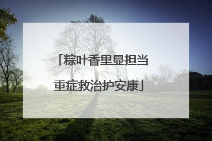 粽叶香里显担当 重症救治护安康