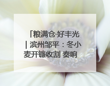 粮满仓·好丰光｜滨州邹平：冬小麦开镰收割 奏响夏日丰收曲