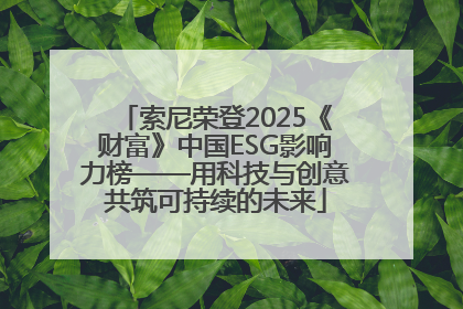 索尼荣登2025《财富》中国ESG影响力榜——用科技与创意共筑可持续的未来