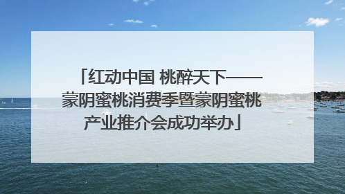 红动中国 桃醉天下——蒙阴蜜桃消费季暨蒙阴蜜桃产业推介会成功举办