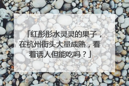 红彤彤水灵灵的果子，在杭州街头大量成熟，看着诱人但能吃吗？