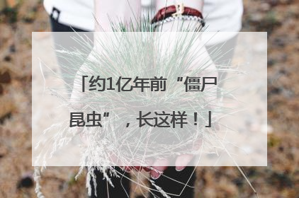 约1亿年前“僵尸昆虫”，长这样！
