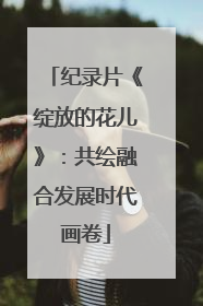 纪录片《绽放的花儿》：共绘融合发展时代画卷