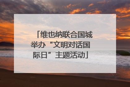 维也纳联合国城举办“文明对话国际日”主题活动