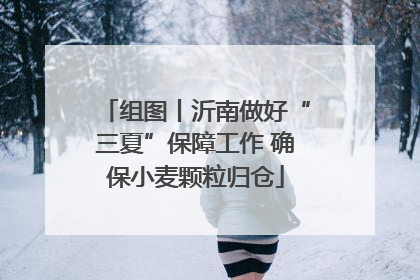 组图丨沂南做好“三夏”保障工作 确保小麦颗粒归仓