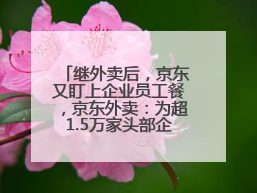 继外卖后，京东又盯上企业员工餐，京东外卖：为超1.5万家头部企业提供用餐方案