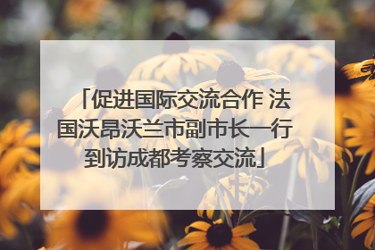 促进国际交流合作 法国沃昂沃兰市副市长一行到访成都考察交流