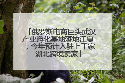 俄罗斯电商巨头武汉产业孵化基地落地江夏，今年预计入驻上千家湖北跨境卖家