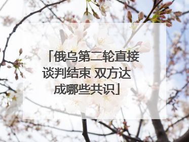 俄乌第二轮直接谈判结束 双方达成哪些共识