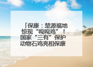 保康：楚源福地惊现“嘎嘎鸡”！国家“三有”保护动物石鸡亮相保康沿河公园