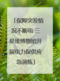 保障突发情况不断电 三星堆博物馆开展电力保供应急演练