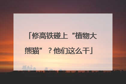 修高铁碰上“植物大熊猫”？他们这么干