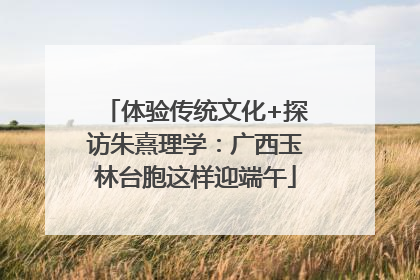 体验传统文化+探访朱熹理学：广西玉林台胞这样迎端午