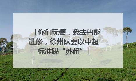 你们玩梗，我去鲁能进修，徐州队要以中超标准踢“苏超”