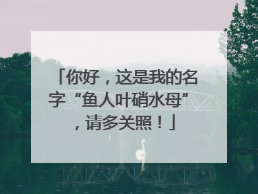 你好，这是我的名字“鱼人叶硝水母”，请多关照！
