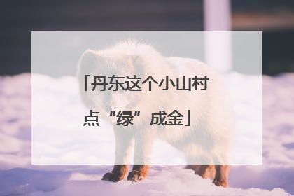 丹东这个小山村点“绿”成金