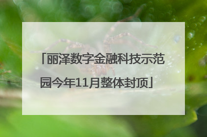 丽泽数字金融科技示范园今年11月整体封顶