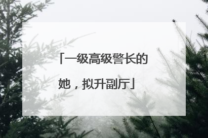 一级高级警长的她，拟升副厅