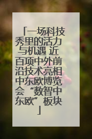 一场科技秀里的活力与机遇 近百项中外前沿技术亮相中东欧博览会“数智中东欧”板块
