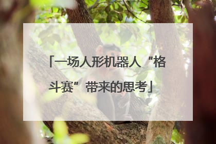 一场人形机器人“格斗赛”带来的思考