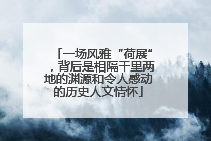 一场风雅“荷展”，背后是相隔千里两地的渊源和令人感动的历史人文情怀