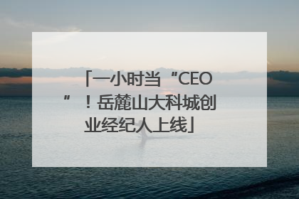 一小时当“CEO”！岳麓山大科城创业经纪人上线