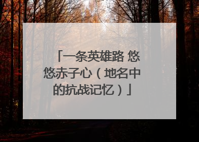 一条英雄路 悠悠赤子心（地名中的抗战记忆）
