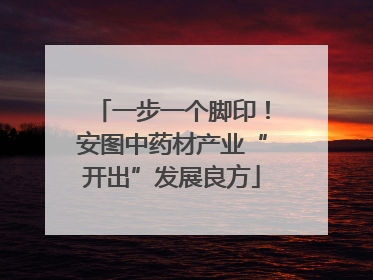一步一个脚印！安图中药材产业“开出”发展良方