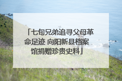 七旬兄弟追寻父母革命足迹 向阳新县档案馆捐赠珍贵史料
