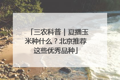 三农科普｜夏播玉米种什么？北京推荐这些优秀品种