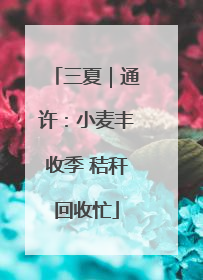三夏｜通许：小麦丰收季 秸秆回收忙
