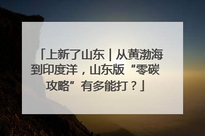 上新了山东｜从黄渤海到印度洋，山东版“零碳攻略”有多能打？