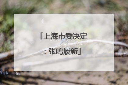 上海市委决定：张鸣履新