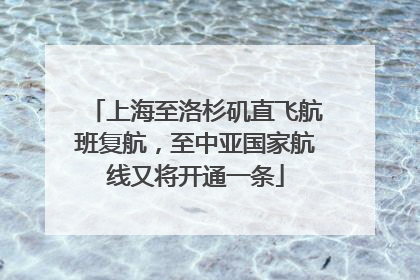 上海至洛杉矶直飞航班复航，至中亚国家航线又将开通一条