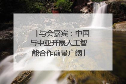 与会嘉宾：中国与中亚开展人工智能合作前景广阔