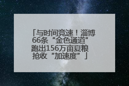 与时间竞速！淄博66条“金色通道”跑出156万亩夏粮抢收“加速度”
