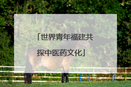 世界青年福建共探中医药文化