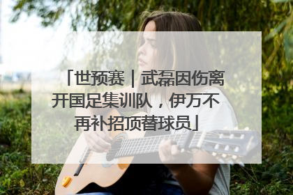 世预赛｜武磊因伤离开国足集训队，伊万不再补招顶替球员