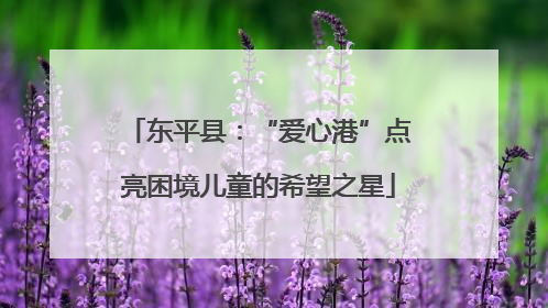 东平县：“爱心港”点亮困境儿童的希望之星