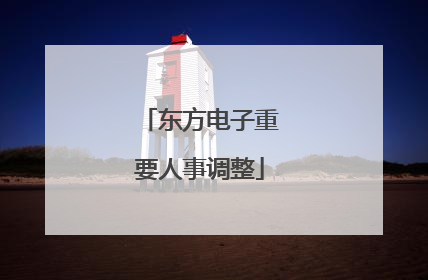 东方电子重要人事调整