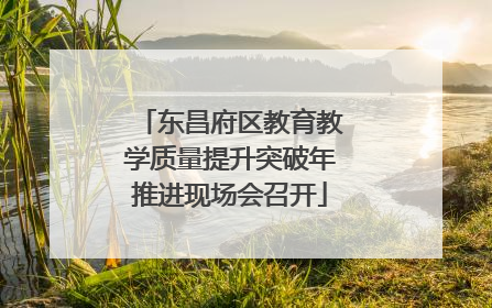 东昌府区教育教学质量提升突破年推进现场会召开