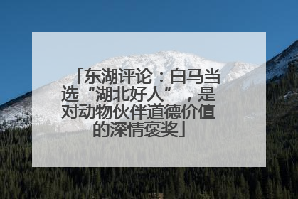东湖评论：白马当选“湖北好人”，是对动物伙伴道德价值的深情褒奖
