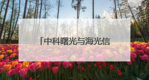 中科曙光与海光信息拟合并：资本与产业的双向奔赴